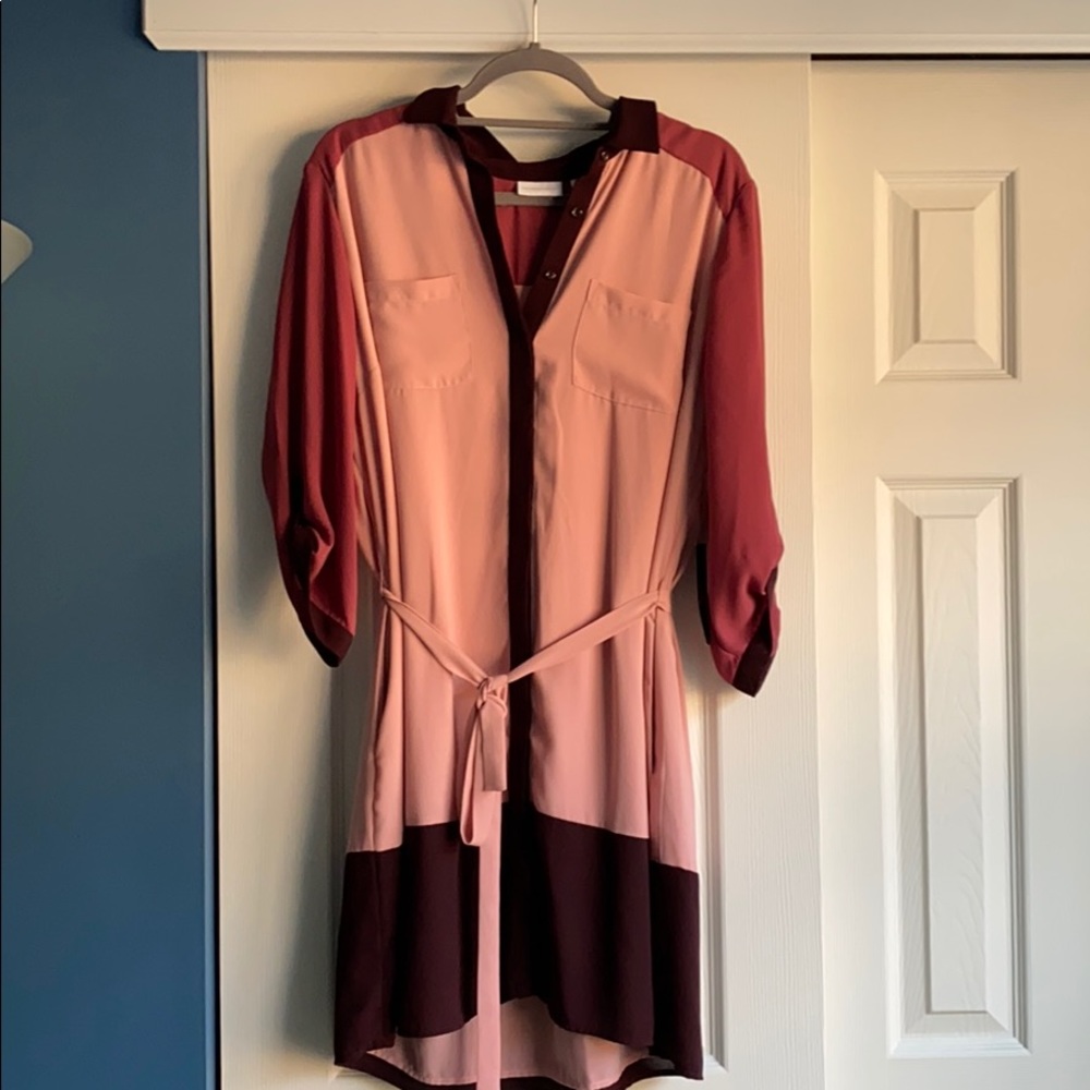 Pink collared dress